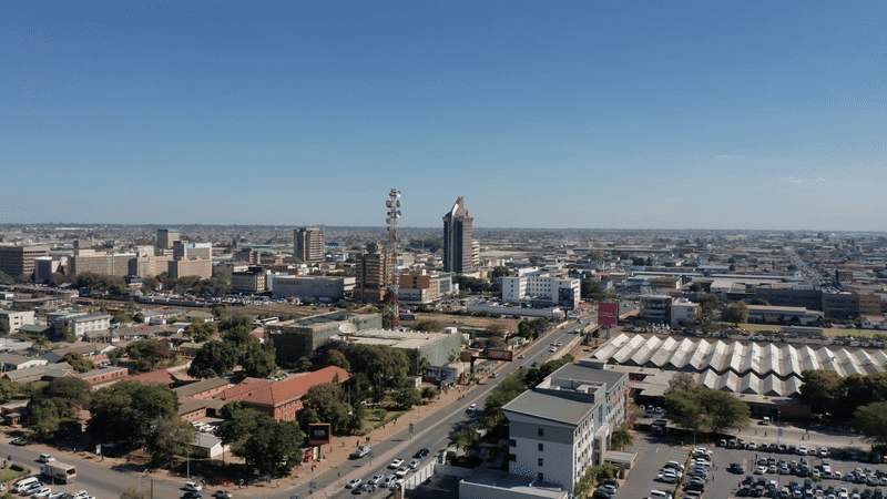 Zambian Business Excellence